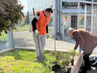 legnano fiori cse cittadinanzaattiva