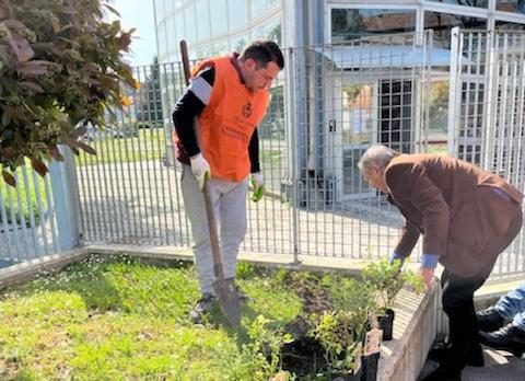 legnano fiori cse cittadinanzaattiva