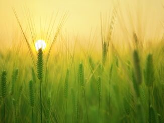 varese cambiamento climatico agricoltura