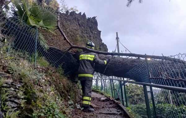 vento forte alto varesotto