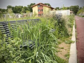 cardano via alpi lottizzazione