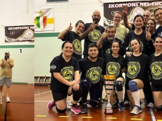Besnate pallavolo fisiodema cup