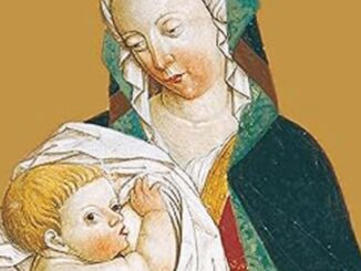 gallarate madonna del latte