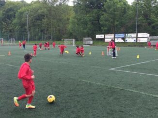 bosto young pro cup