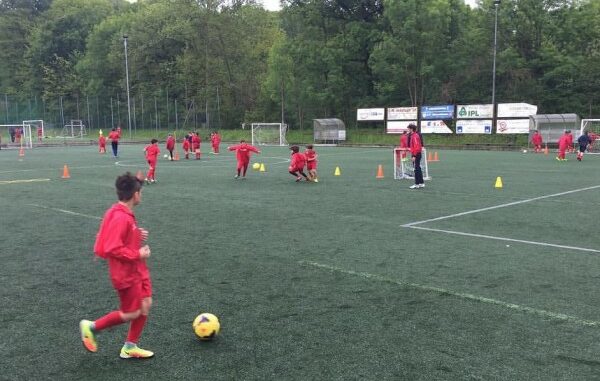 bosto young pro cup