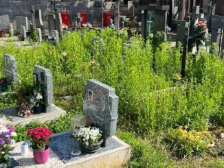 cassano sieco lega cimitero