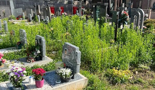 cassano sieco lega cimitero