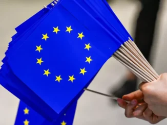 elezioni europee territorio pd