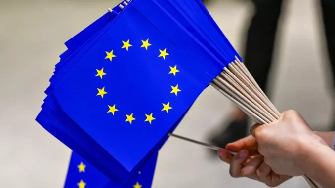 elezioni europee territorio pd