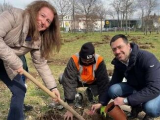 legnano pgt fedeli radice