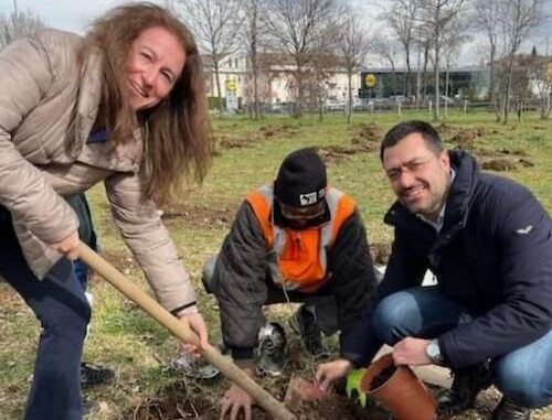 legnano pgt fedeli radice