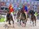 legnano palio eventi corsa