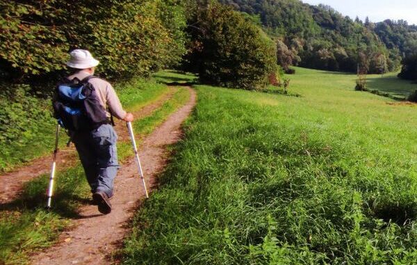 passeggiate nei plis varese
