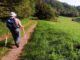 passeggiate nei plis varese