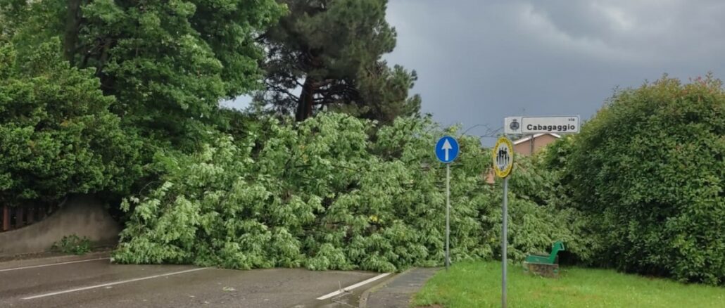 somma maltempo cade albero