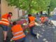 canegrate laruota disabiità arredourbano