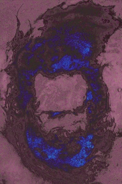 sesto luce vanetti sangregorio 02