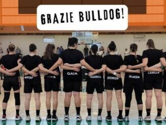 Canegrate Bulldog basket femminile