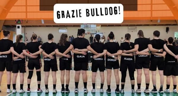 Canegrate Bulldog basket femminile
