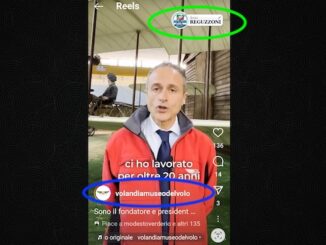 Elezioni reguzzoni cassani Volandia
