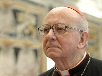 varese cardinale nicora