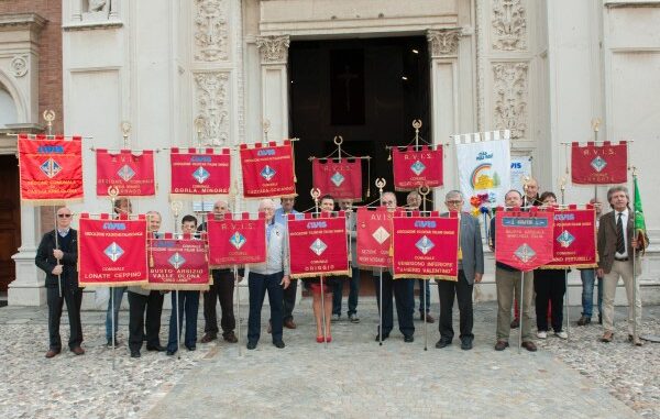 avis venegono superiore
