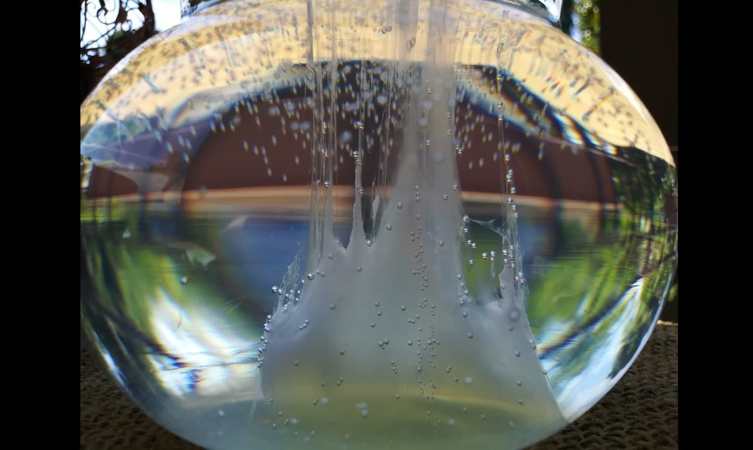 Barca Di San Giovanni 2024 La tradizione popolare della Barca di San Pietro impazza anche sui