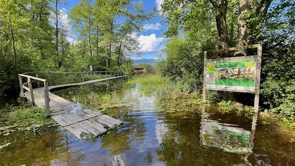 Riserva Palude Brabbia allagata