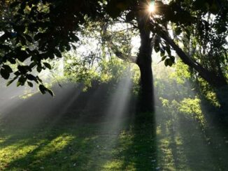 nuvoloso piovaschi sole miglioramento