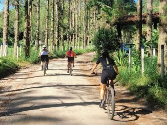 Valle olona bicicletta Archeologistics