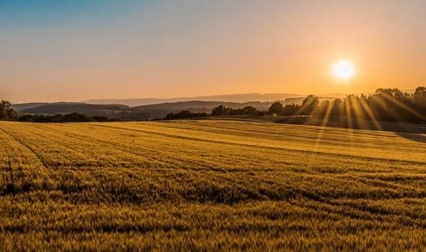 sole miglioramento caldo estivo