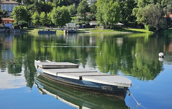 sesto calende inquinamento lago