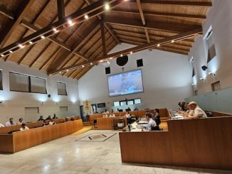 Gallarate ospedale consiglio comunale