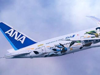 Malpensa volo milano tokyo