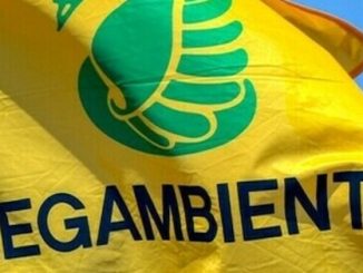 Legambiente gallarate bosco curtatone