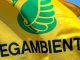 Legambiente gallarate bosco curtatone