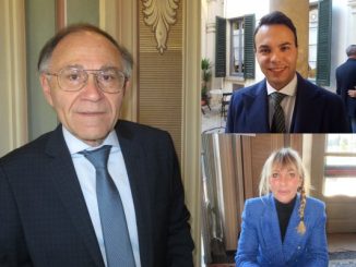 canile varese scontro pd lega
