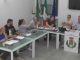 casorate insulti sessisti gallina