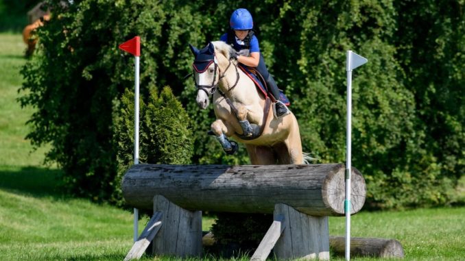 sesto greta enfi europei pony
