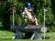 sesto greta enfi europei pony