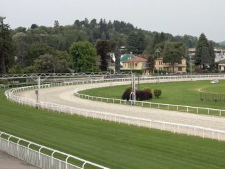 ippodromo varese corse milano