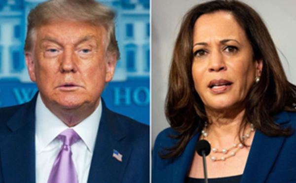 biden trump kamala