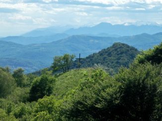 valli del verbano biodiversità