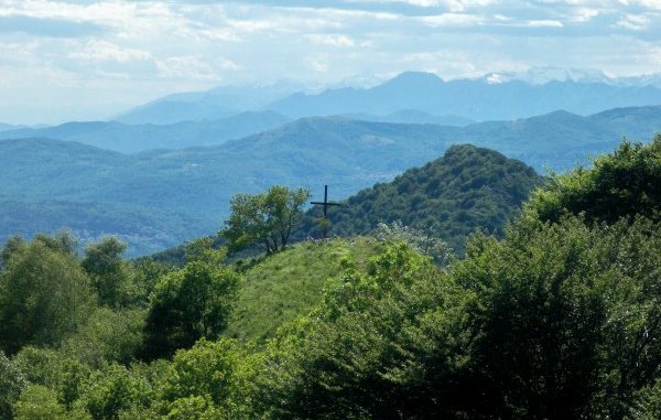 valli del verbano biodiversità