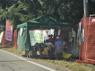Gallarate taglio bosco ferragosto