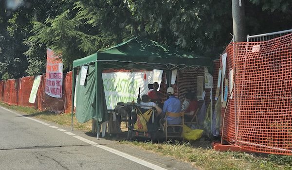 Gallarate taglio bosco ferragosto