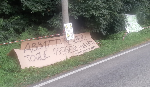 Gallarate taglio bosco curtatone