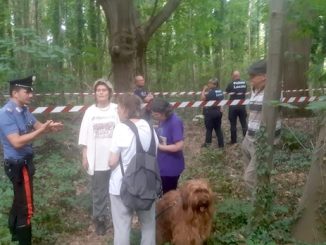 Gallarate taglio bosco curtatone