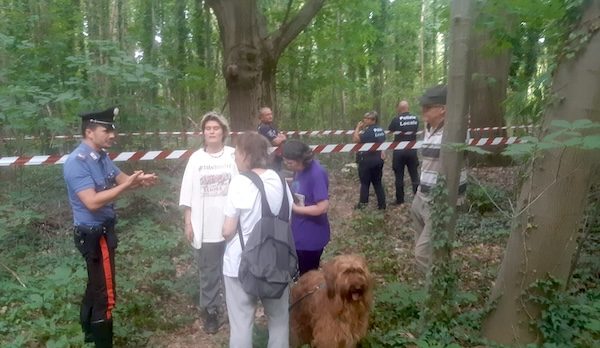 Gallarate taglio bosco curtatone
