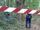 gallarate taglio alberi denunce